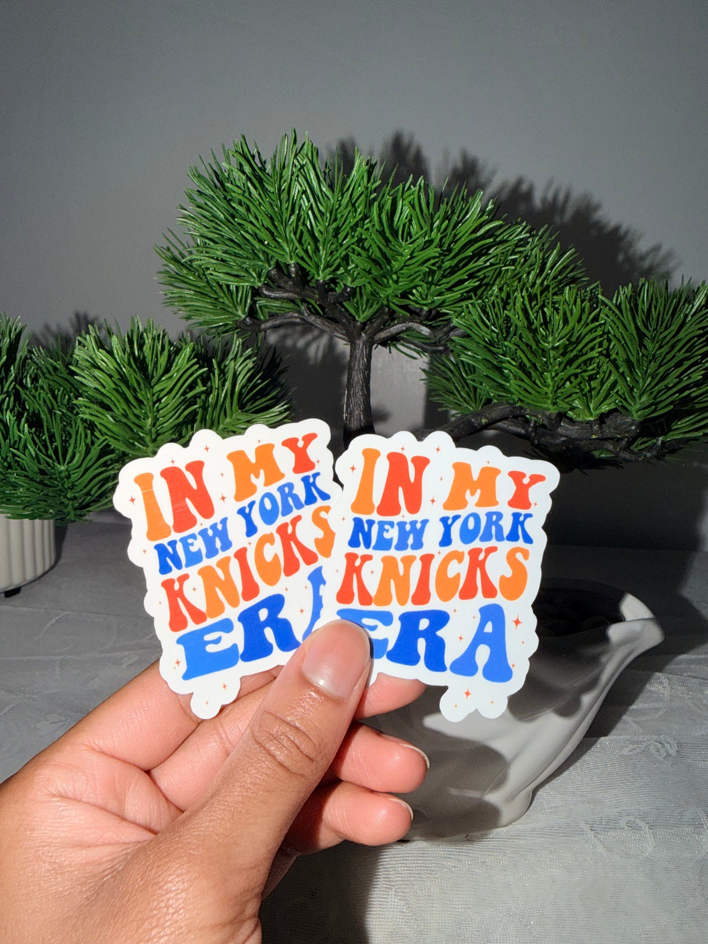 In My New York Knicks Era