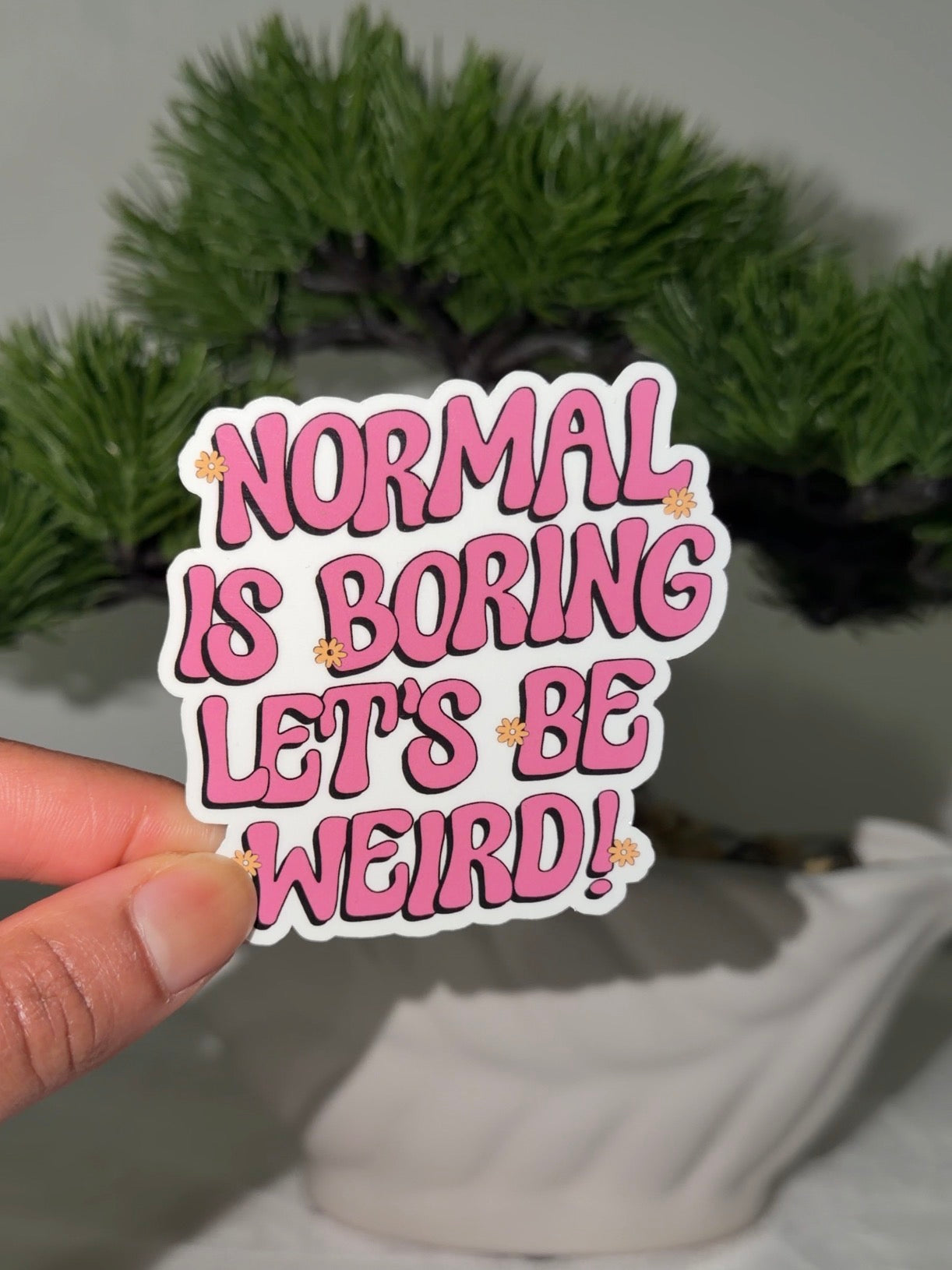 Normal is Boring Let's Be Weird