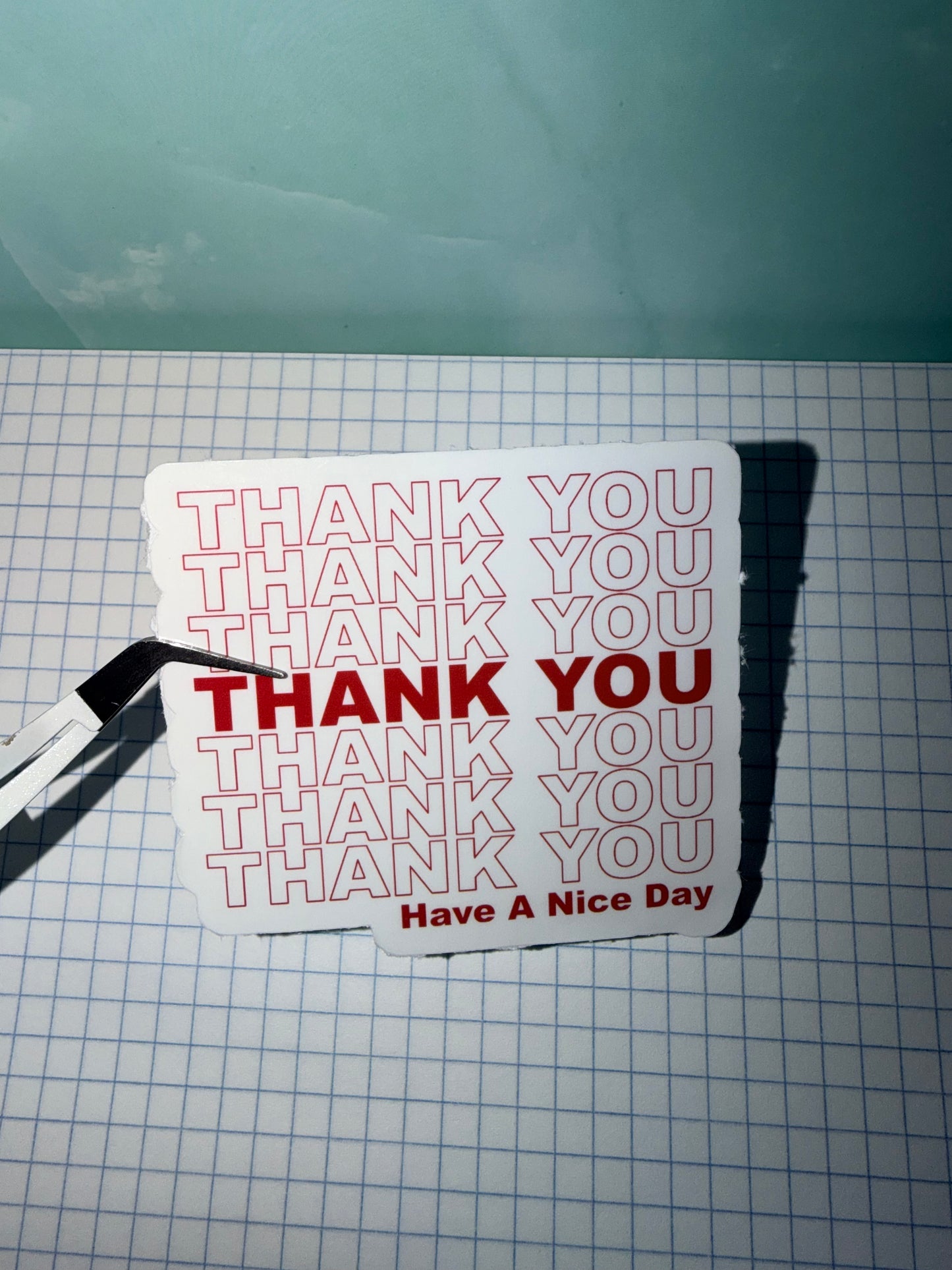 Thank You Have a Nice Day