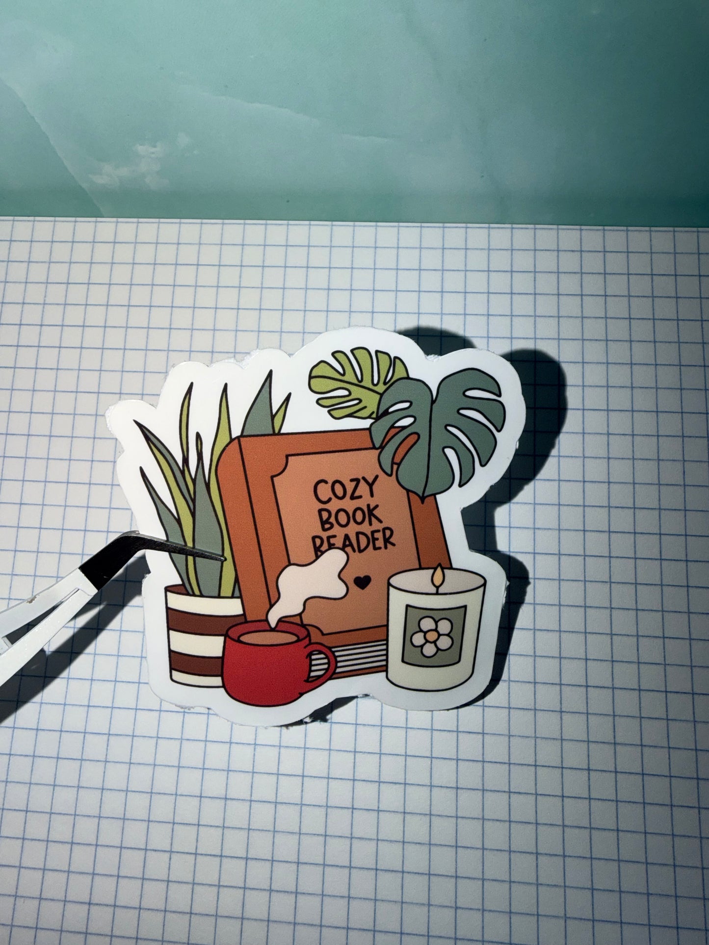Cozy Book Reader