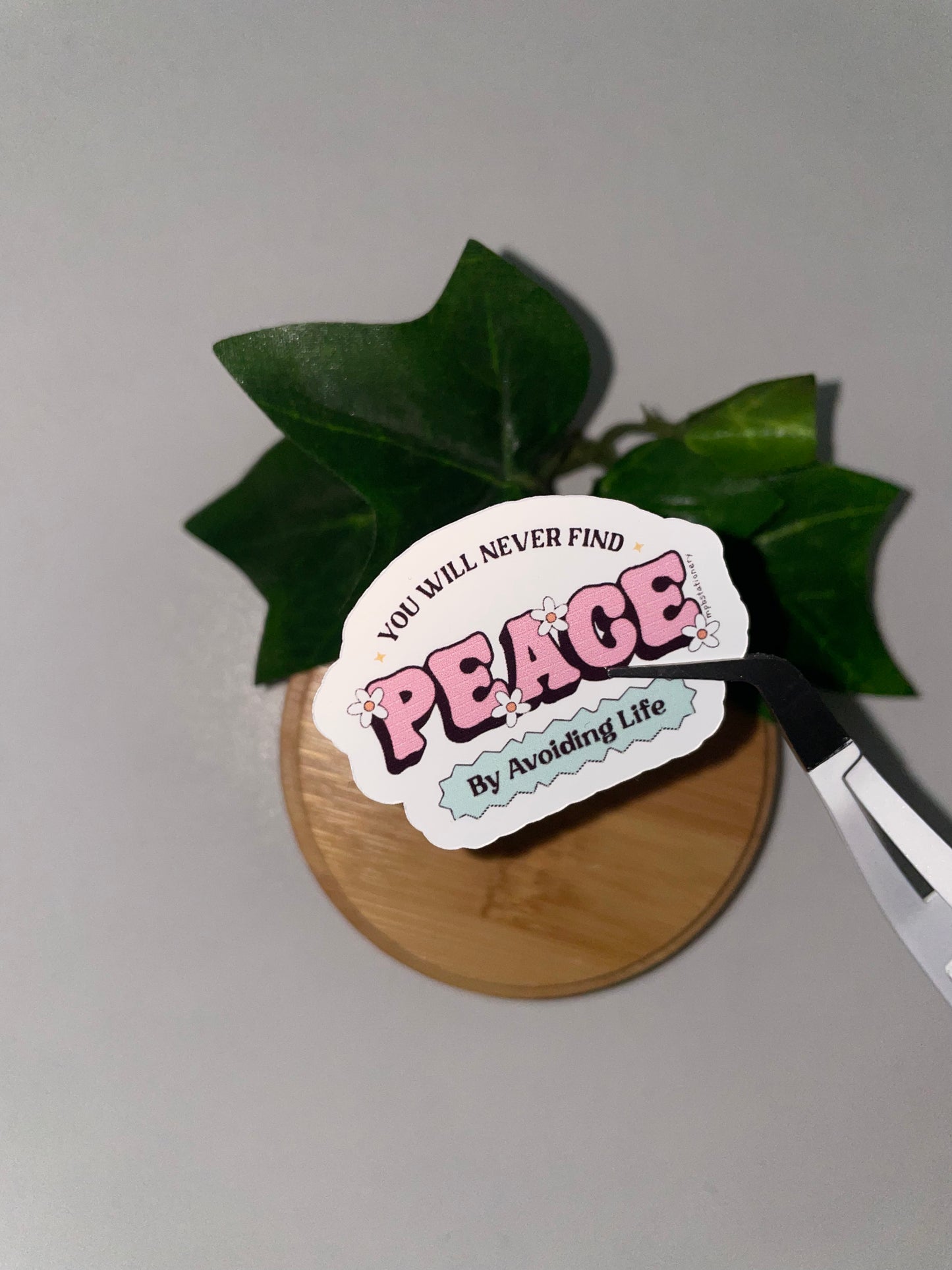You Will Never Find Peace By Avoiding Life