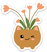 Kitty Plant